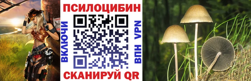даркнет сайт  Щёлкино  omg   Псилоцибиновые грибы MAGIC MUSHROOMS 